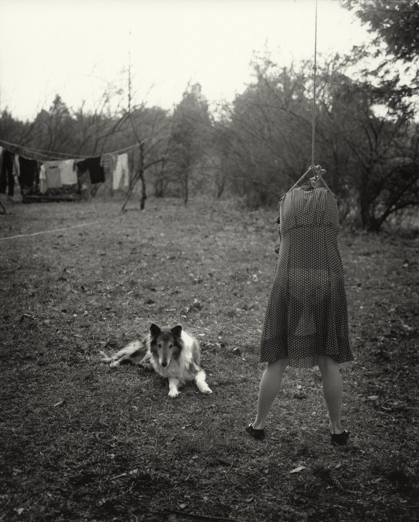 Untitled from the