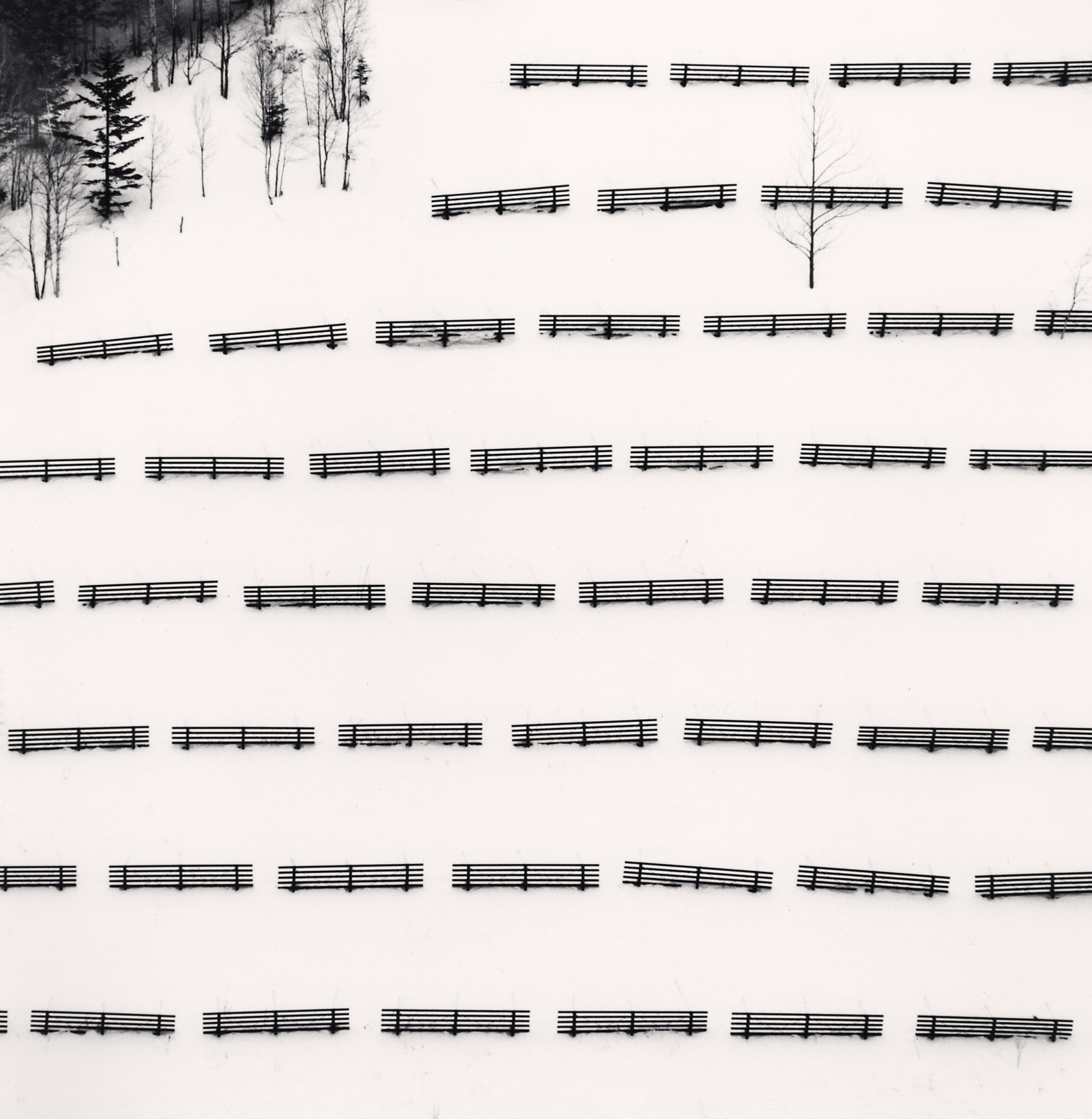 Fifty Fences, Taisetsu, Hokkaido, Japan