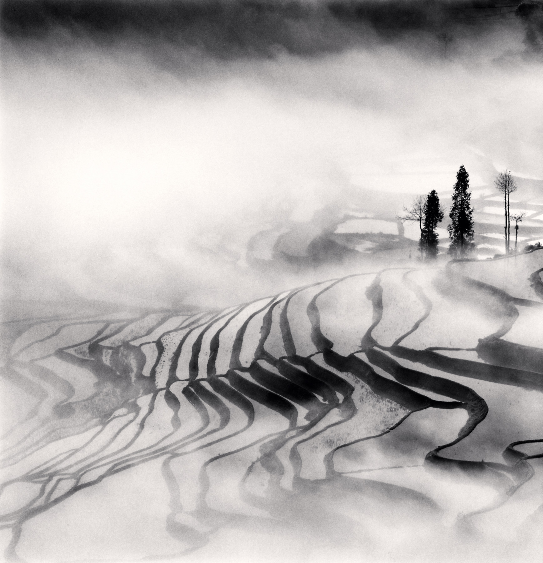Yuanyang, Study 1, Yunnan, China