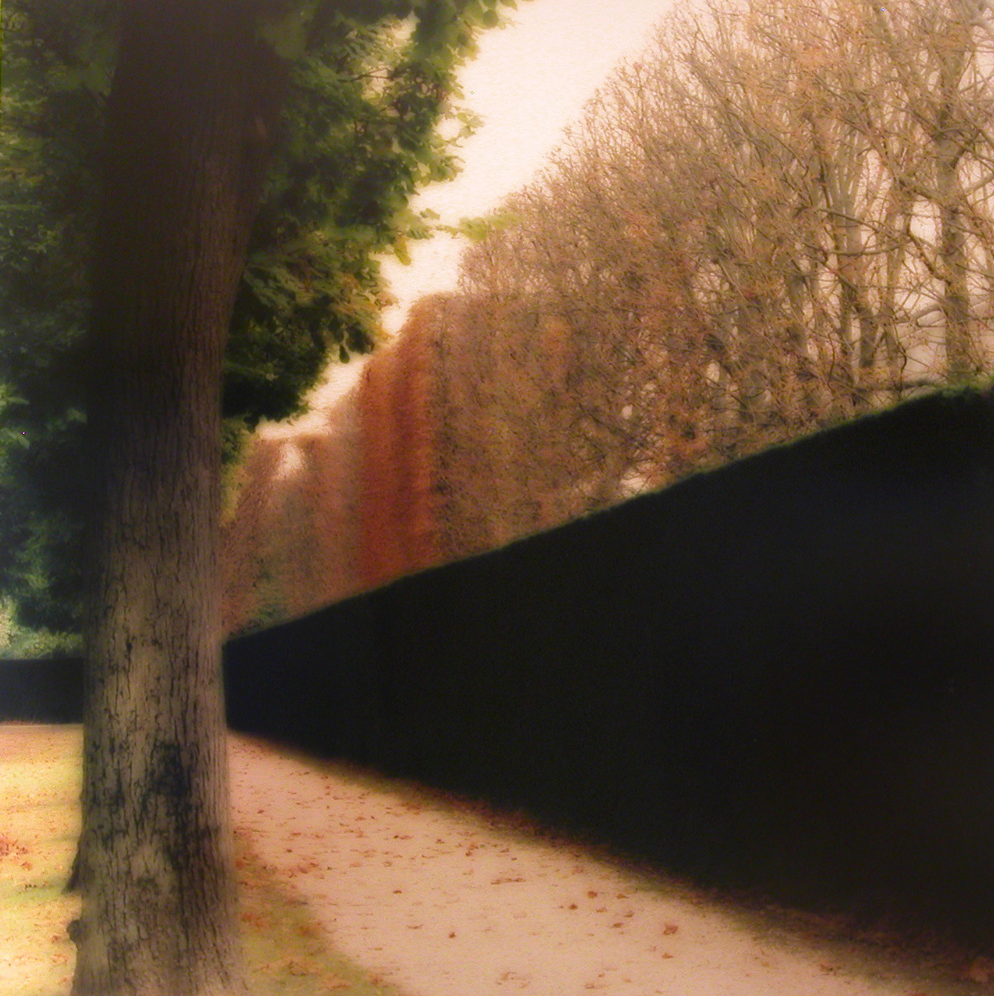 Parc de Sceaux, France (10-08-10c-9)