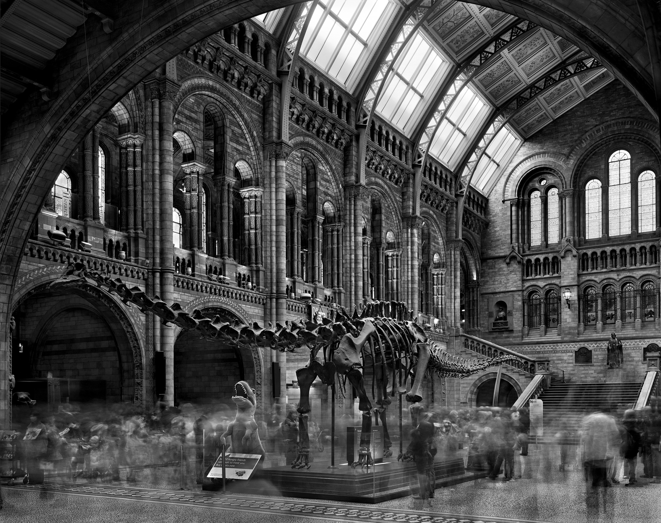 Matthew Pillsbury, Diplodocus #2, Natural History Museum, London, 2007 (TV07261)