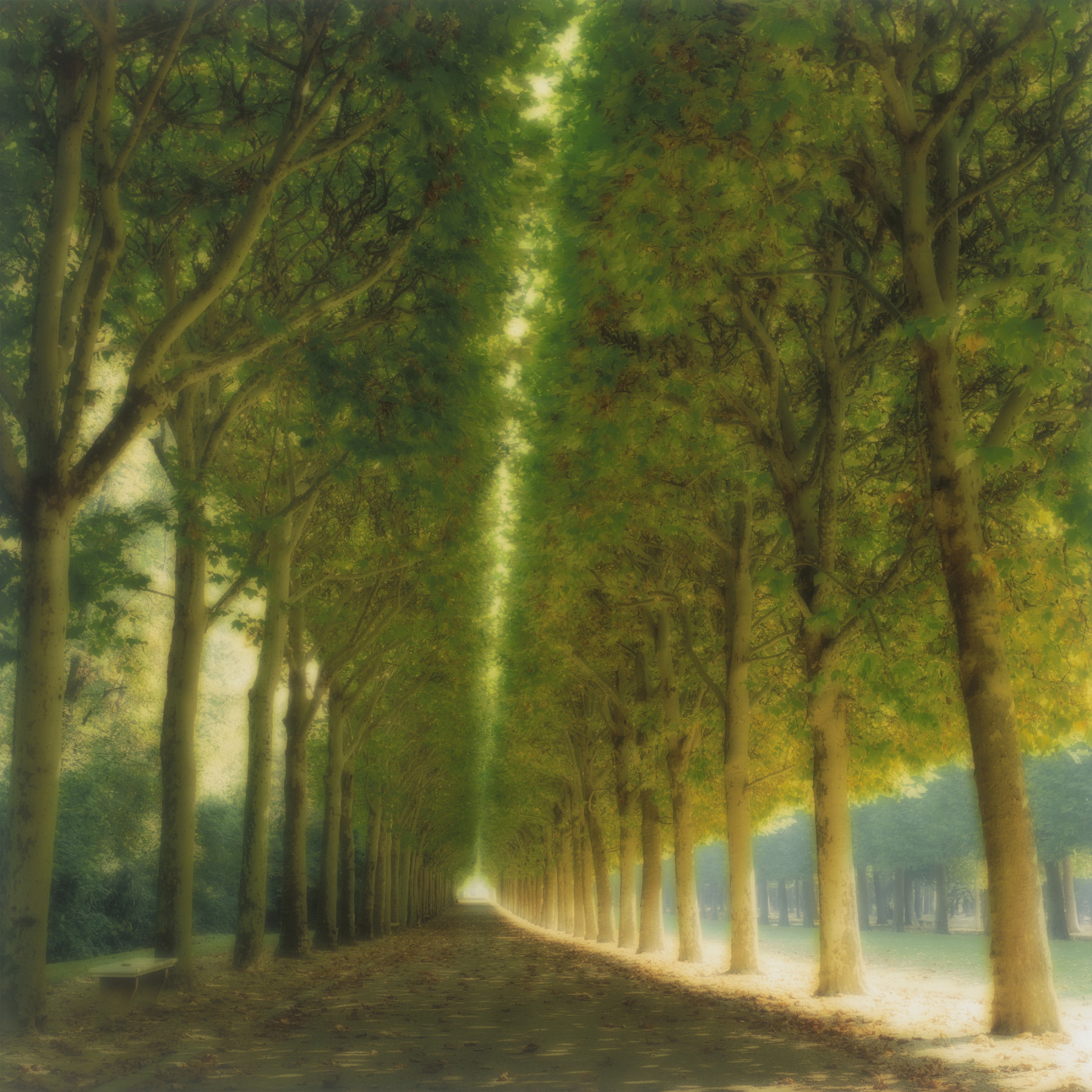 Parc de Sceaux, France (10-97-7c-8)