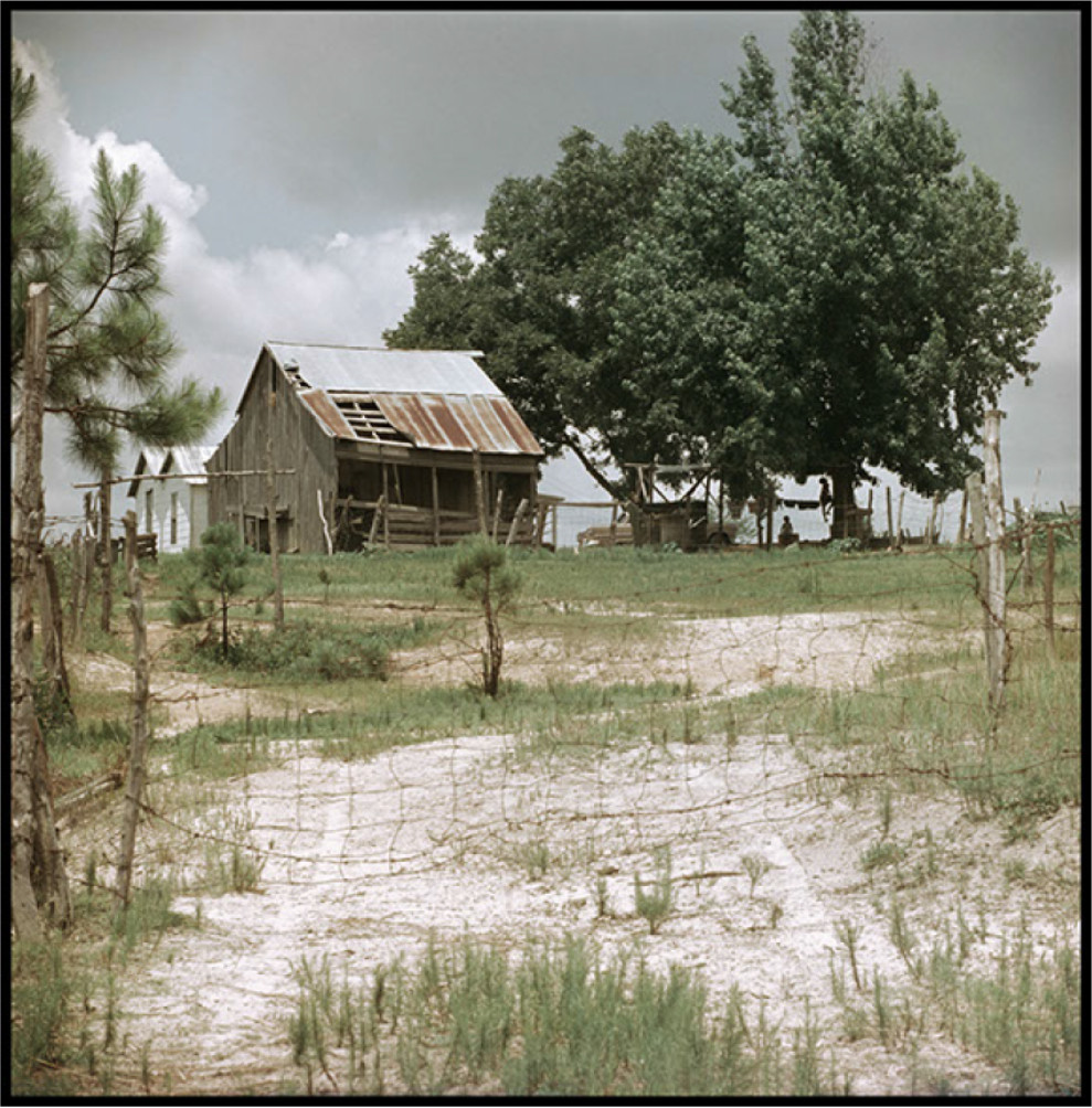 Untitled, Mobile, Alabama, (37.032)
