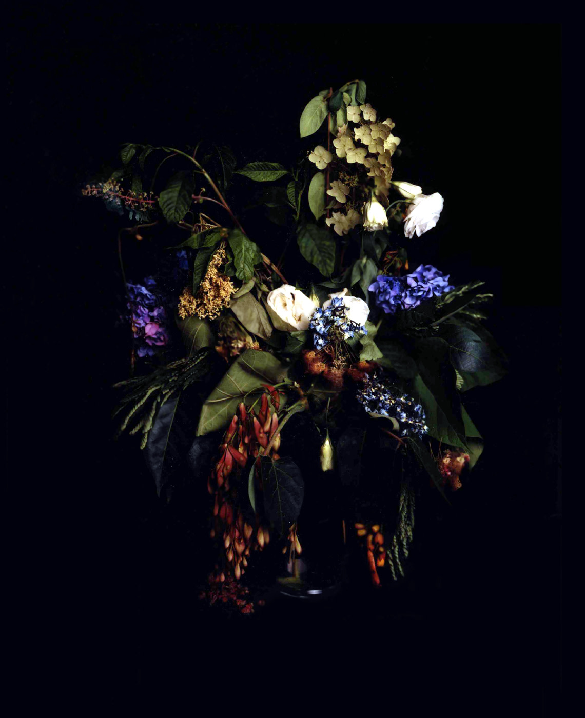 Summer Still Life #6, From the series: Nature Morte