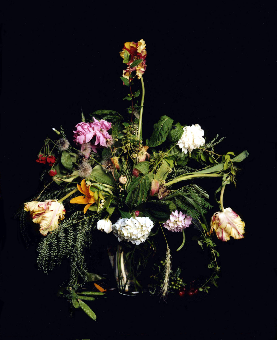 Summer Still Life #1, From the series: Nature Morte