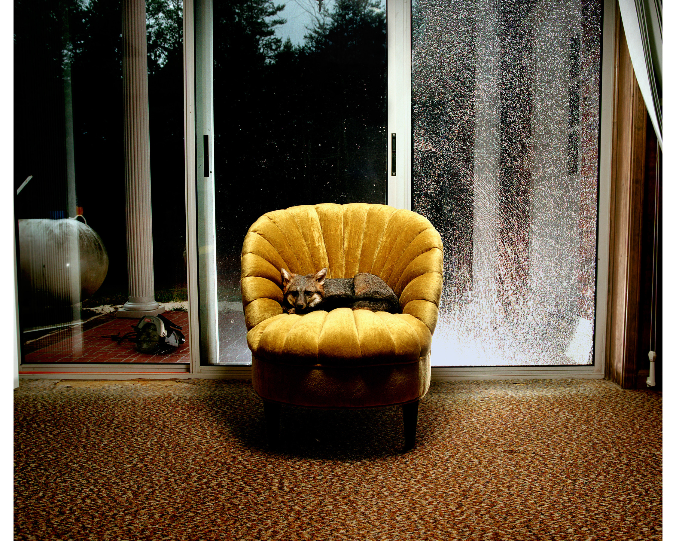 Broken Window
