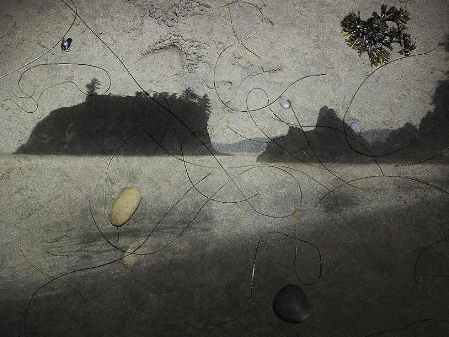 Tent-Camera Image on Ground View of Sea Stacks Looking North, Ruby Beach, Olympic National Park, Washington