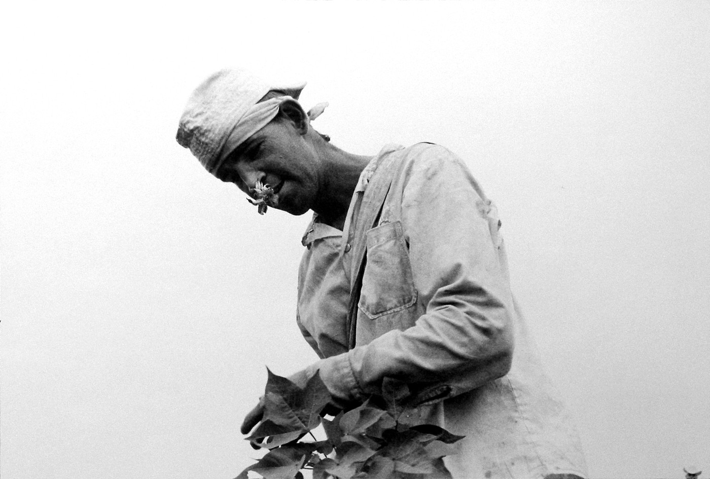 Prisoner Working with Flower in Mouth