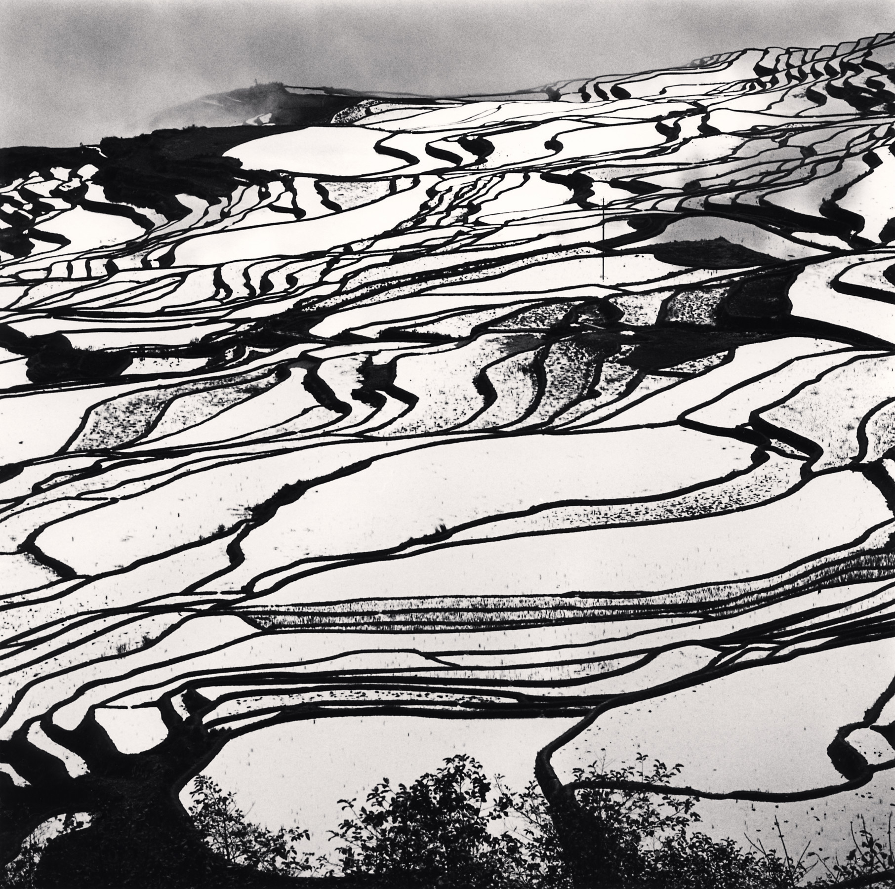 Yuanyang, Study 2, Yunnan, China