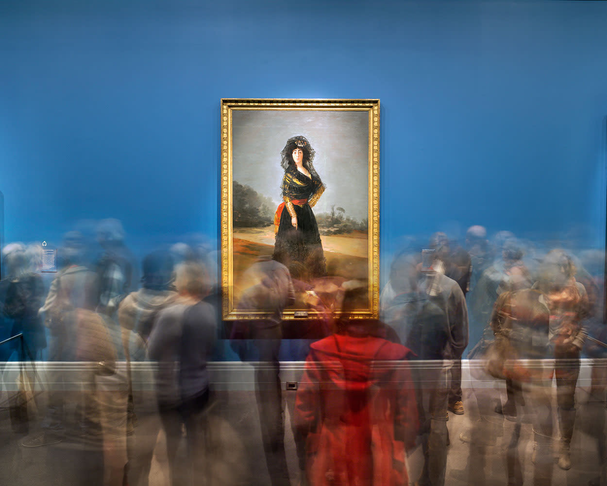 Matthew Pillsbury, Goya's Duchess of Alba, Goya Order & Disorder, Museum of Fine Arts Boston, 2014 (TV14685)