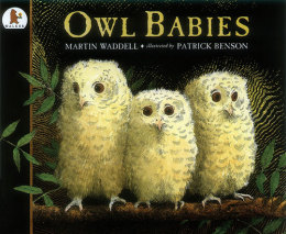 owl-babies.jpg