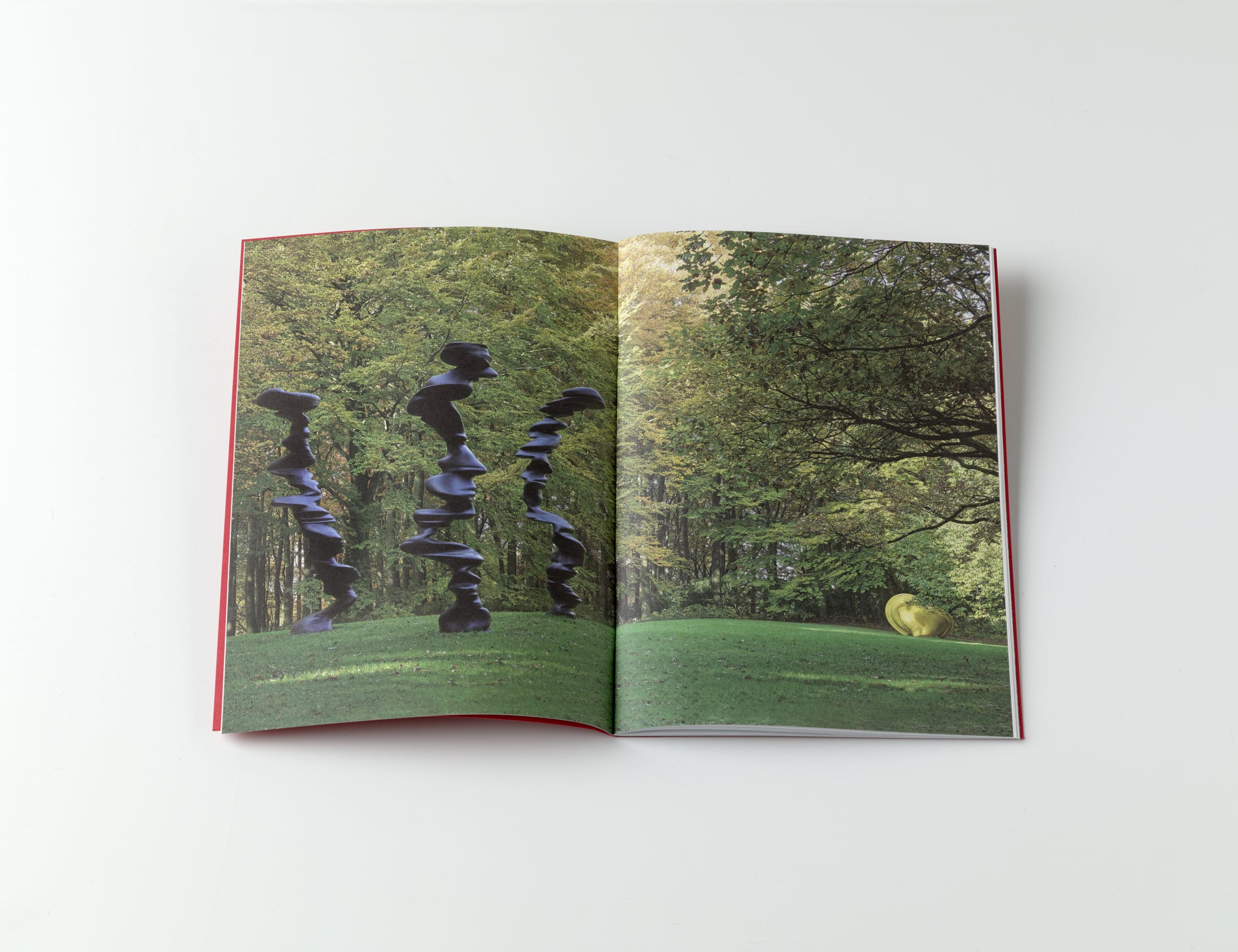 Tony Cragg Sculpture and Language