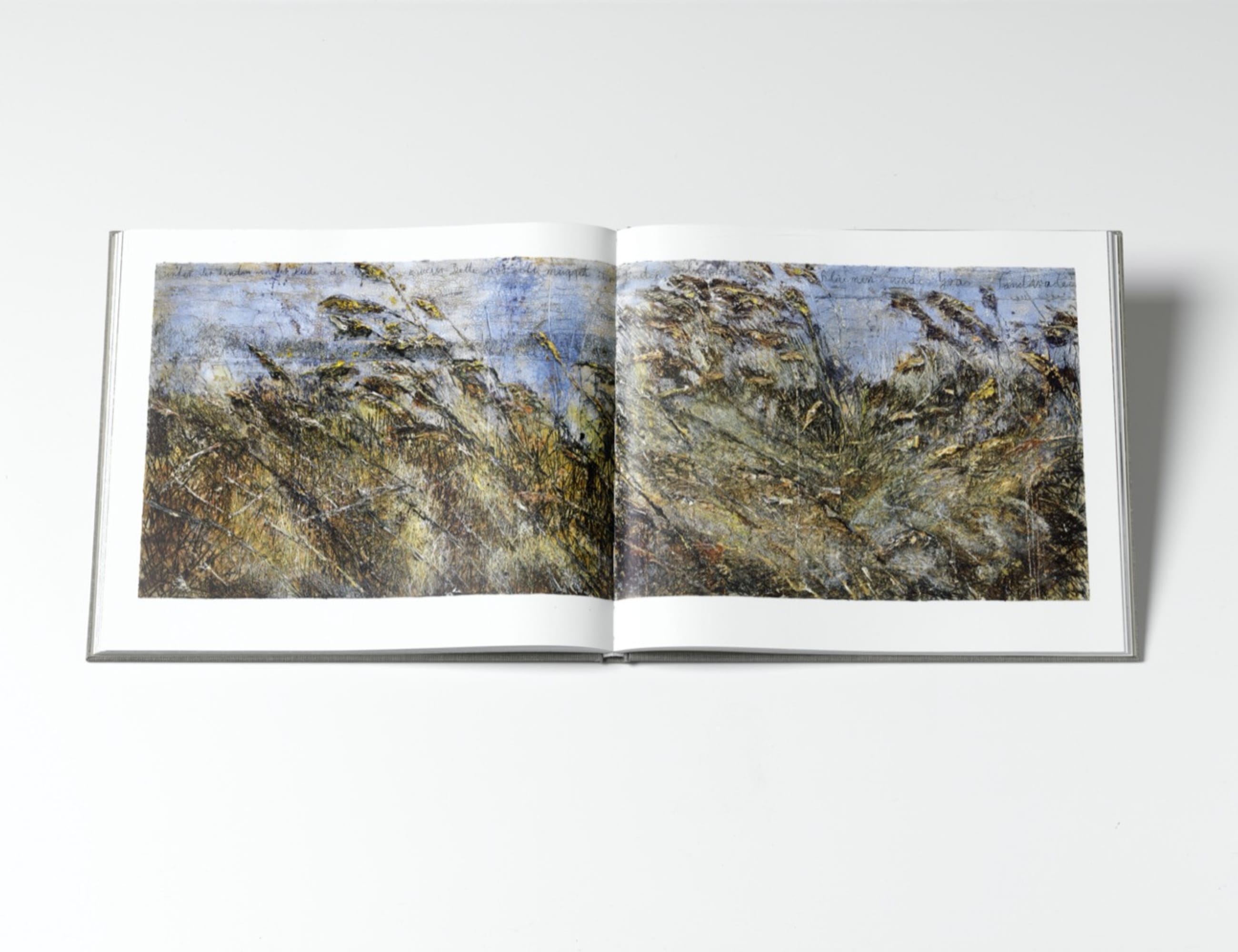Anselm Kiefer Für Walther von der Vogelweide
