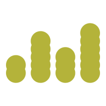 Strategic Climate Funds