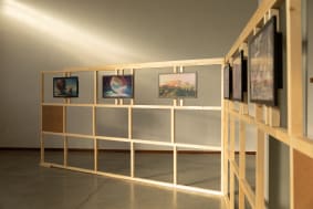 Member Case Study: Julia Rajacic