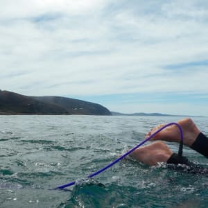 Blake Ellery, Energy and serenity 5