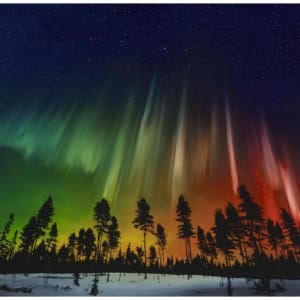 Richard Rowan, Nature Awakens