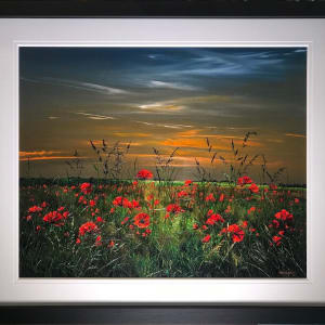 Kimberley Harris, Poppy Field, 2019