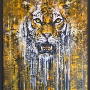 Daniel Hooper, Tiger., 2020