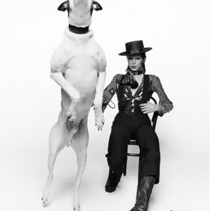 Terry O'Neill, David Bowie for Diamond Dog, 1974
