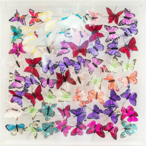 Michael Olsen, SUMMER BREEZE