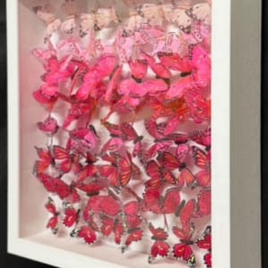 Michael Olsen, Think Pink, 2025
