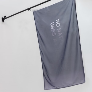 Anahita Razmi, NO NATIONAL FLAG USES A GRADIENT #1-8, 2022