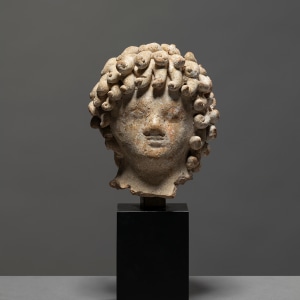 Hellenistic head of a youth, North Africa, c.3rd-2nd century BC