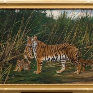 TIGRESS TENDING HER YOUNG