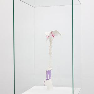 Stijn Ank, Untitled (29.2024), 2024