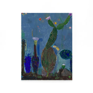 Dirk Zoete, Cactus studie, 2024
