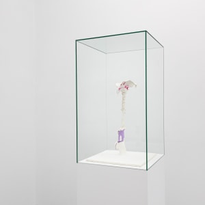 Stijn Ank, Untitled (29.2024), 2024