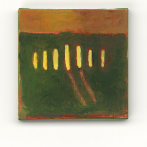Agnes Maes, Untitled, 2009