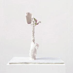 Stijn Ank, Untitled (23.2024), 2024