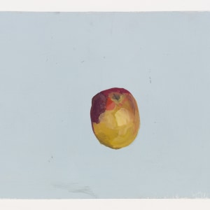 Peter Morrens, A.A., 2020