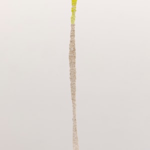 Stijn Ank, Untitled (01.2025), 2025