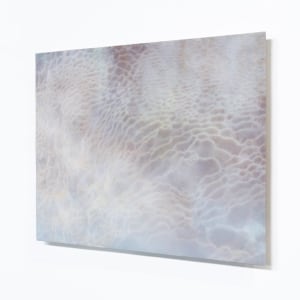 Elizabeth Thomson, Tatio XII, 2017
