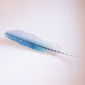Neil Dawson, Kingfisher Feather, 2020