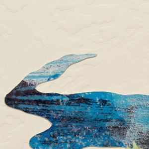 Fiona Van Oyen, Cashmere Stream, Te Kuru, 2025