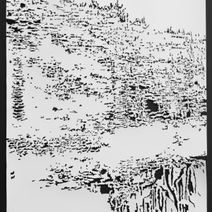 Fiona Van Oyen, Landskin, panel #3, 2017