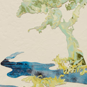 Fiona Van Oyen, Cashmere Stream, Te Kuru, 2025
