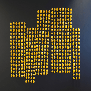 Hannah Kidd, Kōwhai Seeds (after Romany Eveleigh), 2024