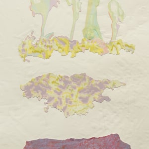 Fiona Van Oyen, Te Kuru Wetland, 2024