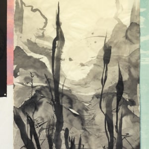 Kim Lowe, Natureculture, 2024