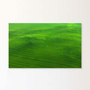 Elizabeth Thomson, Green Just Lies There Awhile Breathing, Long Slow Breaths, 2019