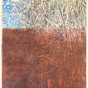 Fiona Van Oyen, Wetland I, 2024