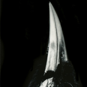 Fiona Pardington, Huia Architecture Diptych, 2006