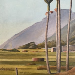 Stanley Palmer, Towards Kohaihai - Karamea, 2019