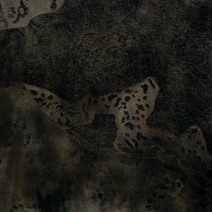 Fiona Van Oyen, Carbon Water and Air, 2022