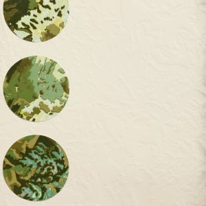 Fiona Van Oyen, Flow, 2025